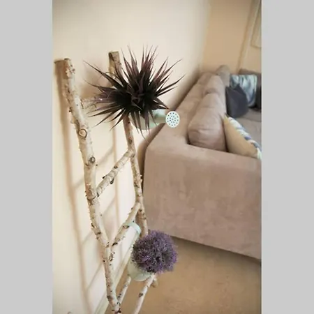 Ferienwohnung - Grosse Souterrain Mit Wintergarten *